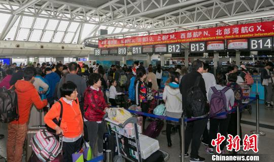 春节黄金周期间凤凰机场平均每日运送旅客7.2万人次　李鹏程　摄
