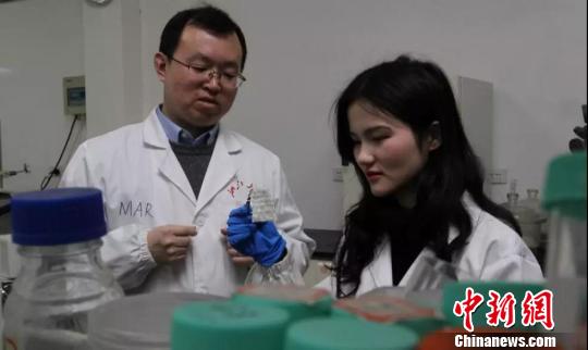 柏浩(左)和崔滢(右)在实验室。校方提供