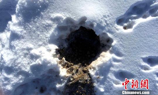 玛多县境内积雪深度已达8厘米。 闫慧 摄 玛多县境内积雪深度已达8厘米。 闫慧 摄