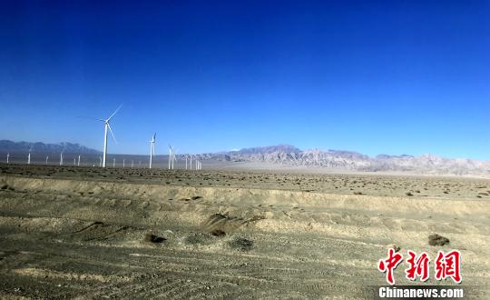 为治理柴达木盆地的荒漠化和沙化,当地林业部门种植了一些植被。(资料图) 孙睿 摄