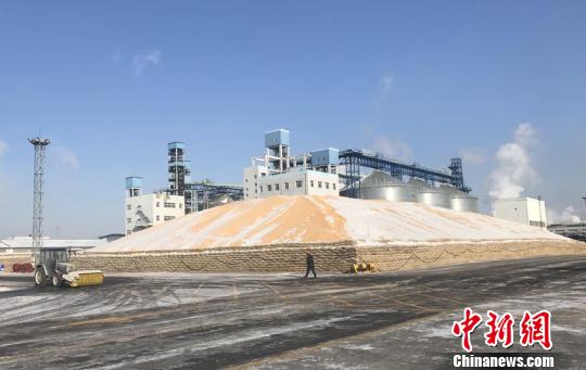 化 改革翌年 量价齐升现积极信号|玉米|粮食局|