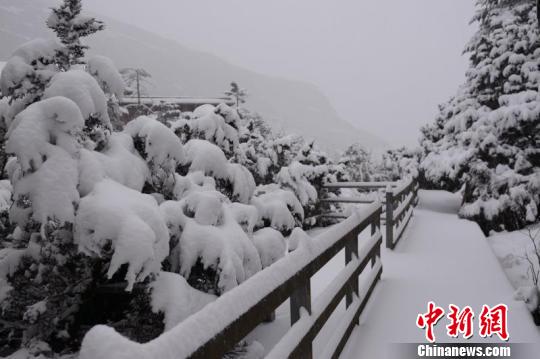 图为轿子雪山雪景。
