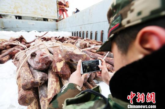 边防民警在取证。边防供图 边防民警在取证。边防供图