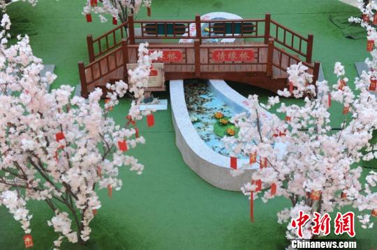 室内“桃花园”景致独特 刘栋 摄
