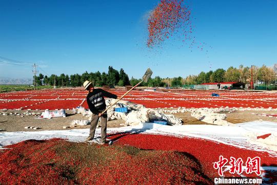 中国各省农牧民均收入_上半年甘肃省农民人均可支配收入同比增长9.0%(2)