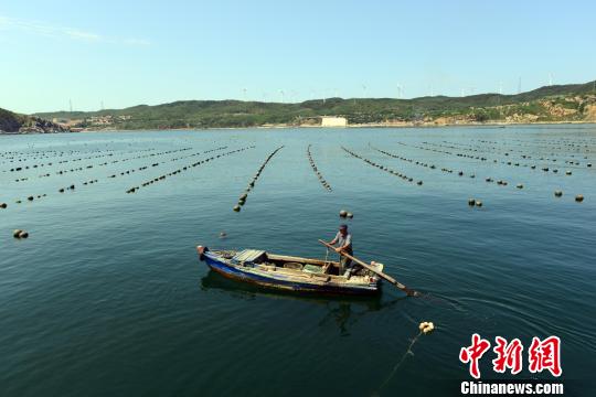 山东长岛推行渔业科技精准对接 助力"海上粮仓"建设