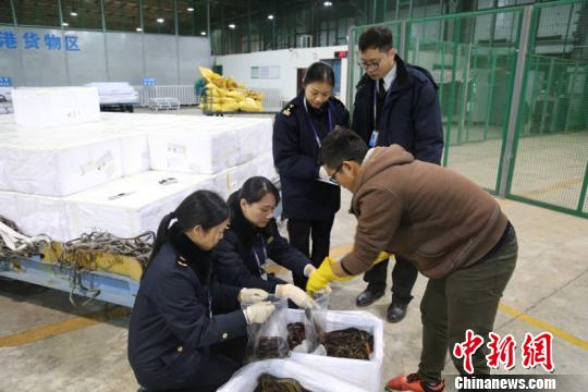 图为广西出入境检验检疫局工作人员对入境货品进行查验。