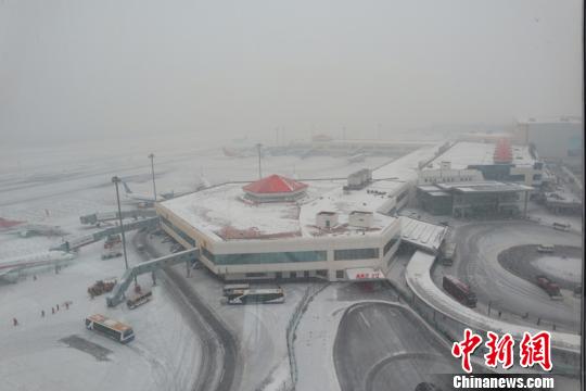 3日,大雪再次来袭黑龙江,哈尔滨太平国际机场80余航班受影响。 王雄非 摄
