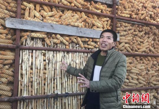 化改革翌年 量价齐升现积极信号|玉米|粮食局|