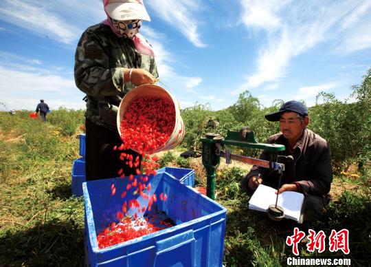 中国各省农牧民均收入_上半年甘肃省农民人均可支配收入同比增长9.0%(2)