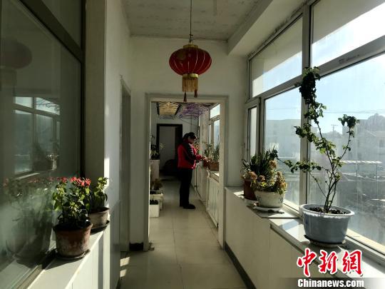 图为姜发菊正在家庭宾馆的阳台整理花草。 孙睿 摄
