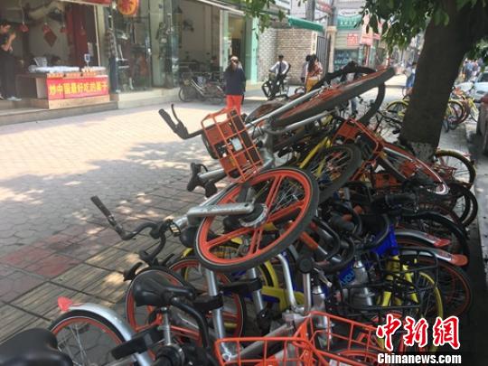 成都街头的共享单车。（资料图） 刘忠俊 摄