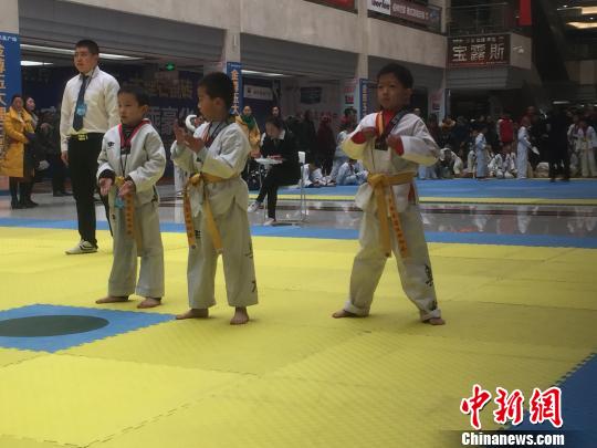 2017年西宁市跆拳道品势竞赛开赛|跆拳道|西宁