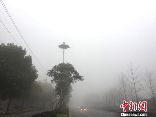 图为车辆都开启了大灯和雾灯缓慢行驶。 崔佳明 摄 江苏大雾红色预警 境内多条高速特级管制