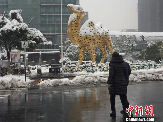 合肥街头一景。 吴兰 摄