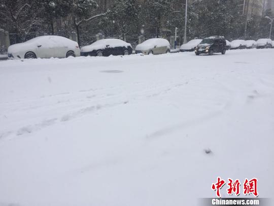 27日,降雪仍在继续。合肥街头,少有行人和车辆。 吴兰 摄 27日,降雪仍在继续。合肥街头,少有行人和车辆。 吴兰 摄