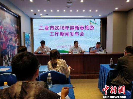 三亚市13日举行2018迎新春旅游工作新闻发布会 王晓斌 摄