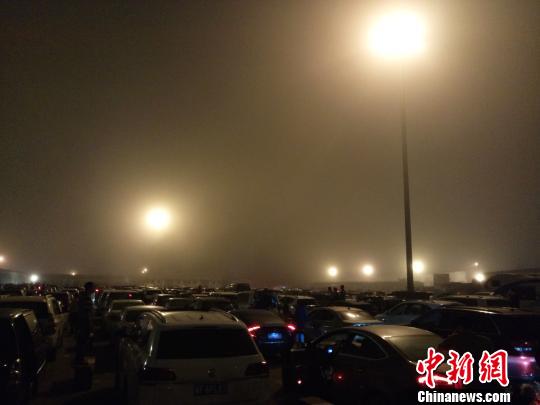 2月24日24时许,海口秀英港,大批车辆在港内待渡。 尹海明 摄