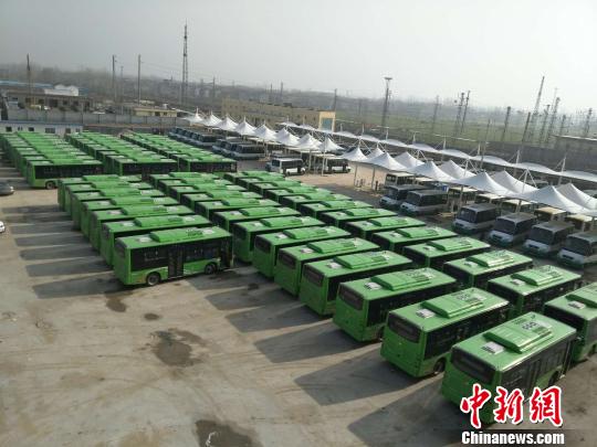 图为可免费乘坐的新能源公交车。 孙振峰 摄