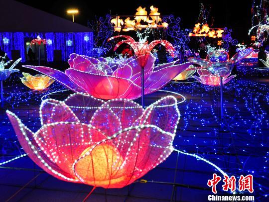 花海迷宫 张帆 摄