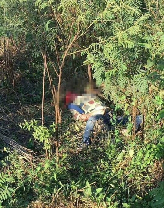 痛心!泰国大象发疯,中国领队为救游客被象活活