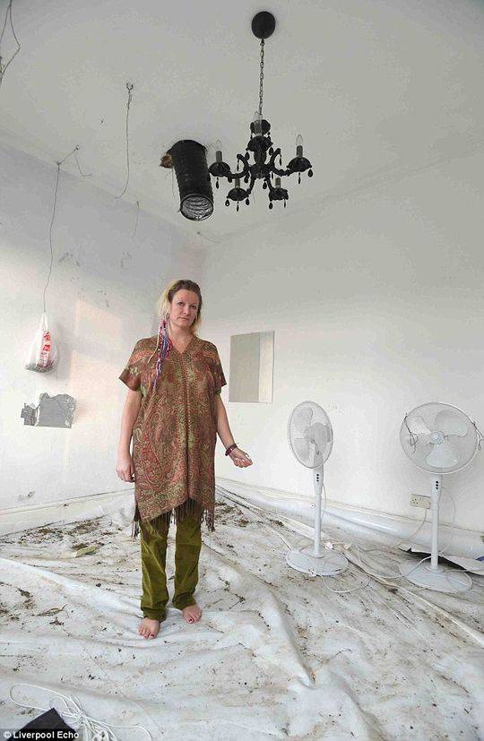 Tanya现在正在寻求能帮助她维修房子的人，现在很多人表示要帮助她支持她。