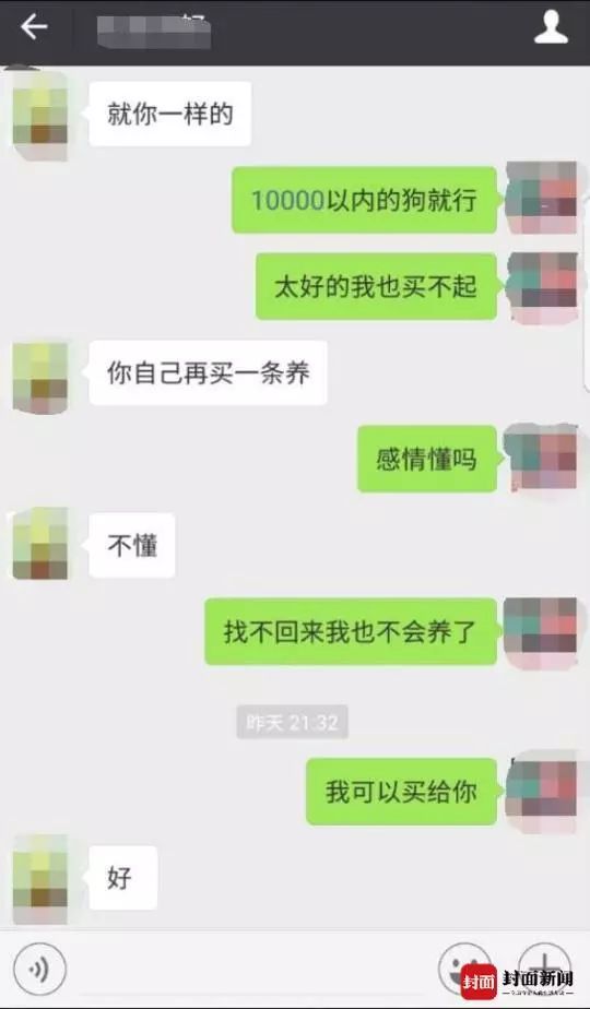 索酬不成摔死小狗,捡狗女子大哭道歉!该不该原