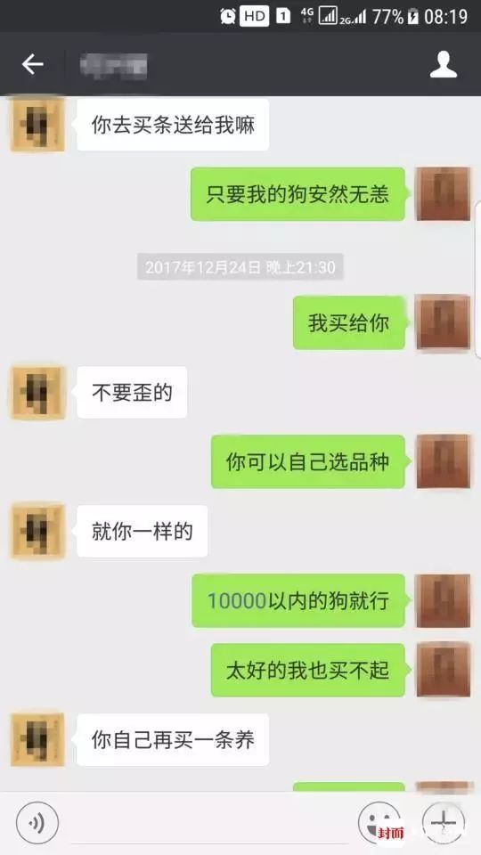 疑索酬不成摔死小狗女子公开道歉,这够了吗?