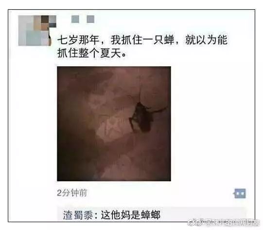 盘点年底最搞笑的朋友圈!可以一直笑到过年哈哈哈哈