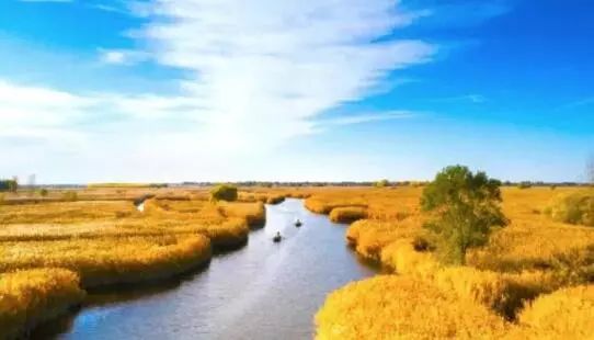 河北明年起开征环保税 雄安新区执行这个标准