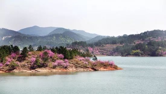 桃花坞、黄山八面厅、岩口水库义乌上溪除了这些，又有一地标即将问世，它是…