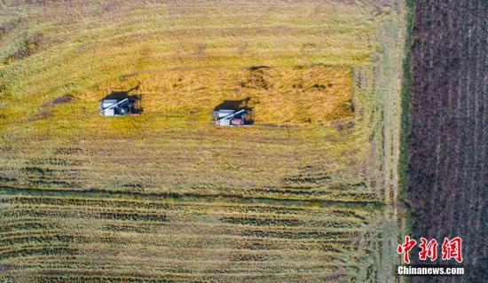 中国派发五项政策 礼包 培育新型农业经营主体