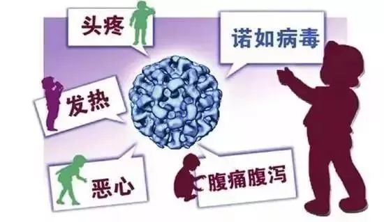 重要提醒！流感已经让大家心力交瘁了吧，打起精神，这两种病毒又来趁火打劫！（预防攻略）
