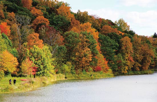 康奈尔大学为什么令我印象深刻
