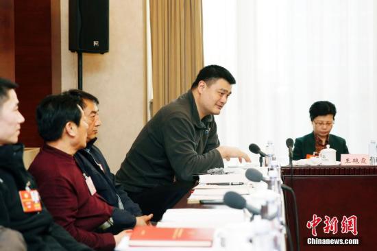 图为姚明在小组讨论上发言。 中新社记者 卞正锋 摄