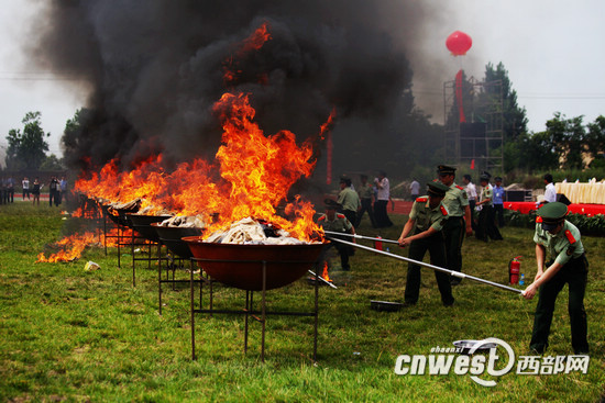 全国青少年禁毒知识竞赛在陕举办 32支队伍参