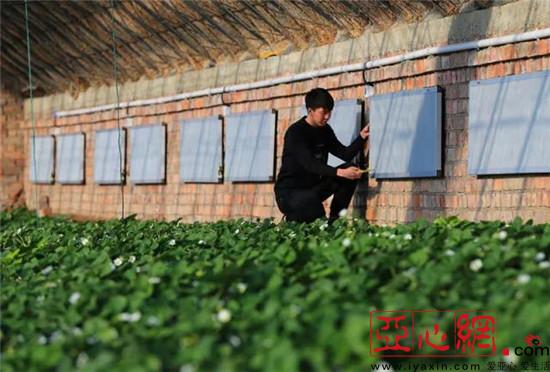 新疆乌鲁木齐市米东区试点温室大棚 煤改电 |新