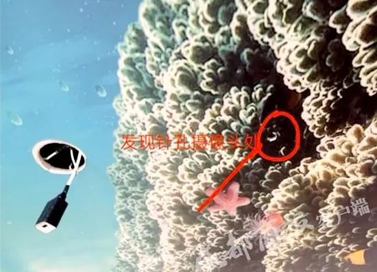 情侣酒店住一晚,醒来发现天花板竟如此可怕!