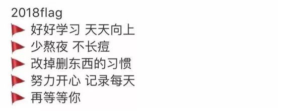 遇见100种生活的可能?2018,来一起立个flag!|美