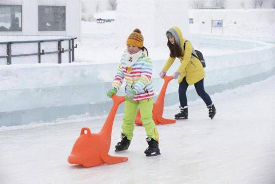 你还不知道?哈尔滨这座建筑相当于5个水立方