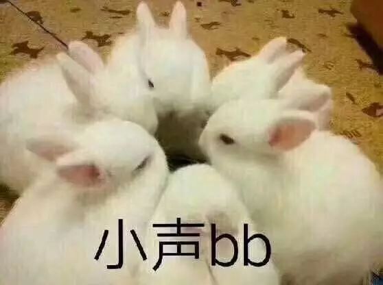 送钱送房送户口！昆明也加入抢人大战，拼得过其他城市吗？