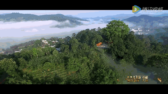 【好玩】亲子研学 | 穿越进《美丽的西双版纳》,在虚拟与现实中享受寒假奇妙之旅|茶马古道|美丽的西双版纳|西双版纳_新浪新闻