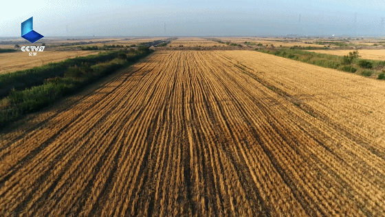 560_315gif 动态图 动图