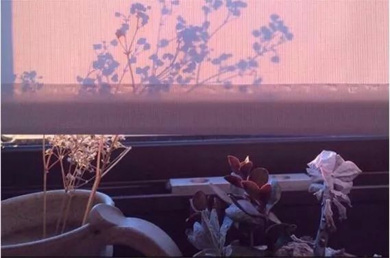 母的无私正在毁掉孩子!|自私|胃溃疡|陪妈妈