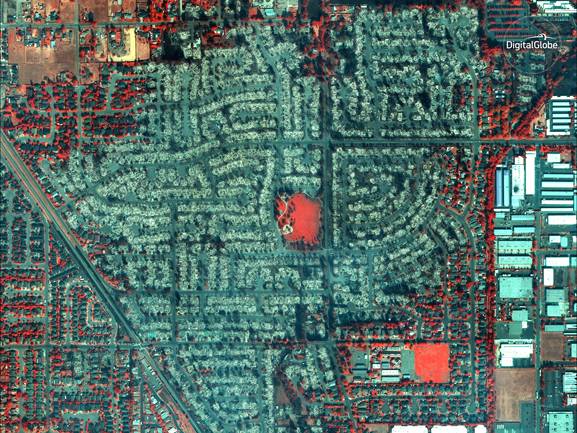 天眼系统受害人视角 N7iB-fypyuvc0428128.jpg