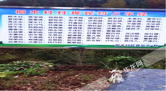 互帮助,如兄弟",这是重庆市秀山自治县岑溪乡桐木村编制的顺口溜式