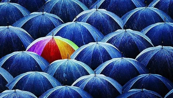 保险公司出问题,买了保险的消费者们怎么办?