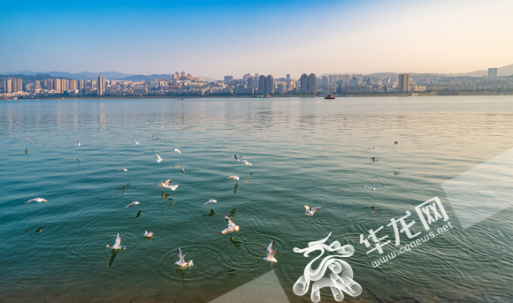 【新时代新气象新作为】丰都改善生态带动旅游