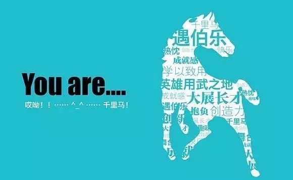 2月24日(正月初九)安庆体育馆 大型招聘会|