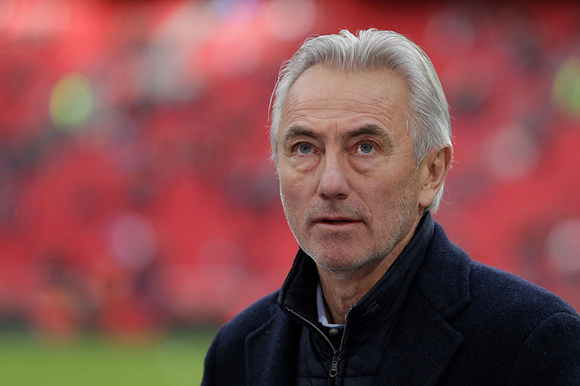 范马尔维克出任澳大利亚男足主教练 将带队征